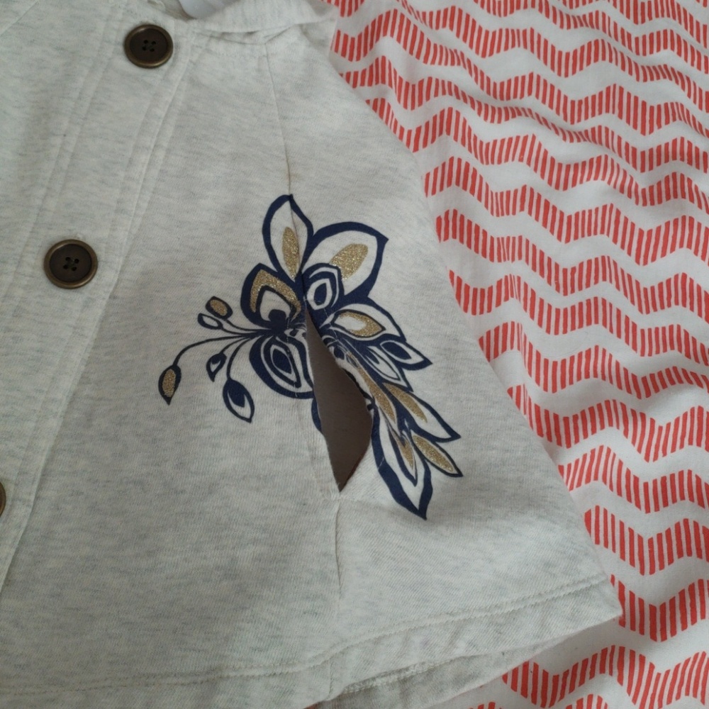 Pancho - Picture 3 of 4